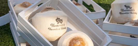 A Look Back at Hammitt's Hawaiian Holiday 2024