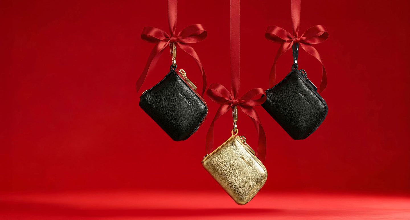 Black Friday: Syd Pouch Free Gift with $395+ Purchase – HAMMITT