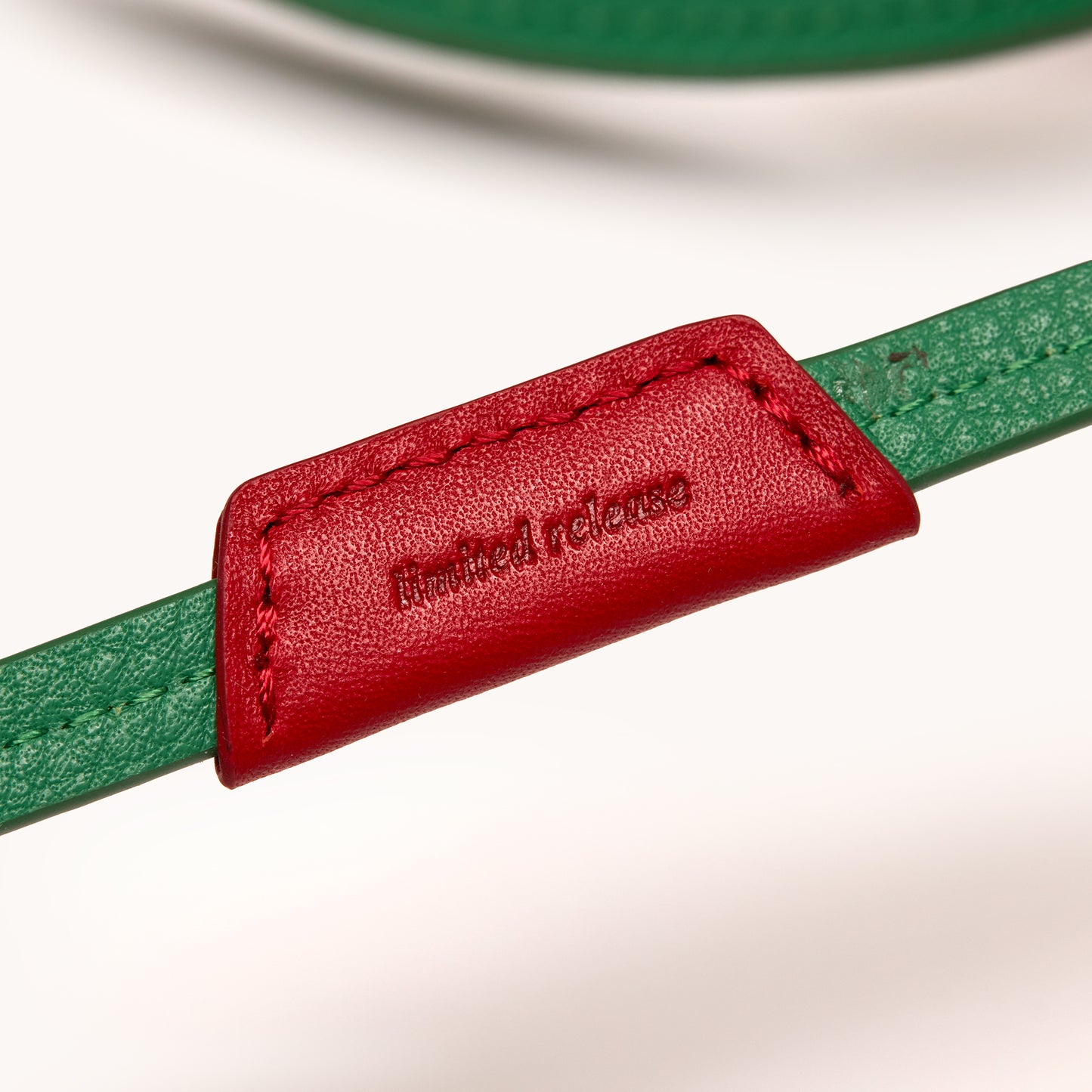 Sunny-Carrier-Lime-Zest-BS-Back-View