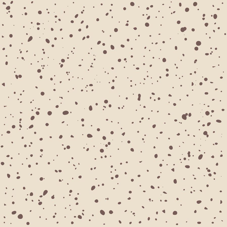 Creating Speckle