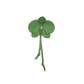 Orchid-Charm-Dill-G-Front-View