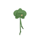 Orchid-Charm-Dill-G-Back-View