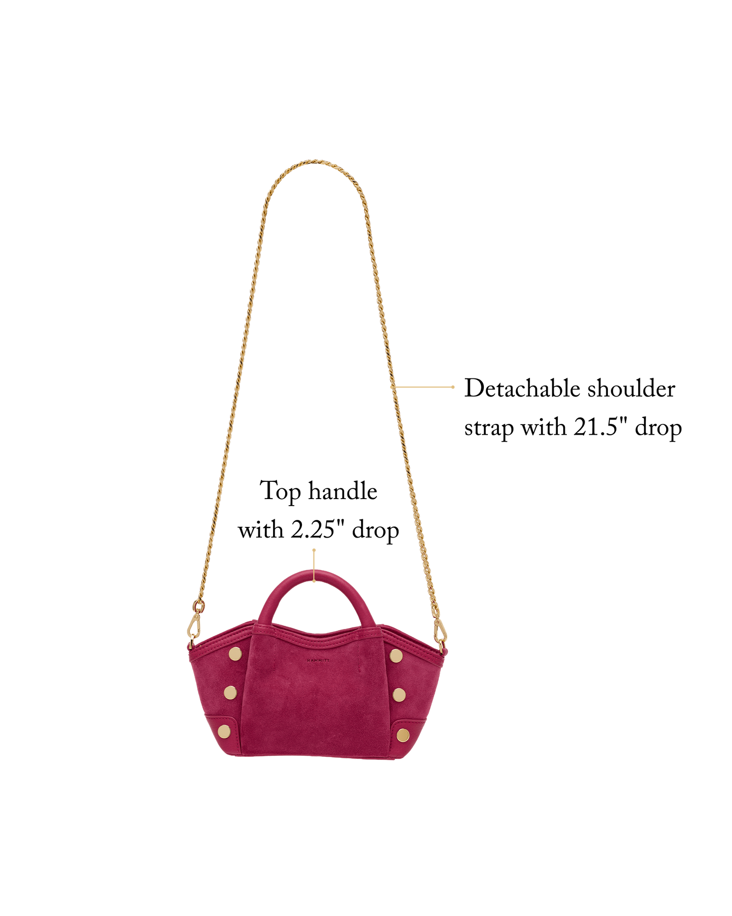 Paul | Calypso Suede/Gold | Mini