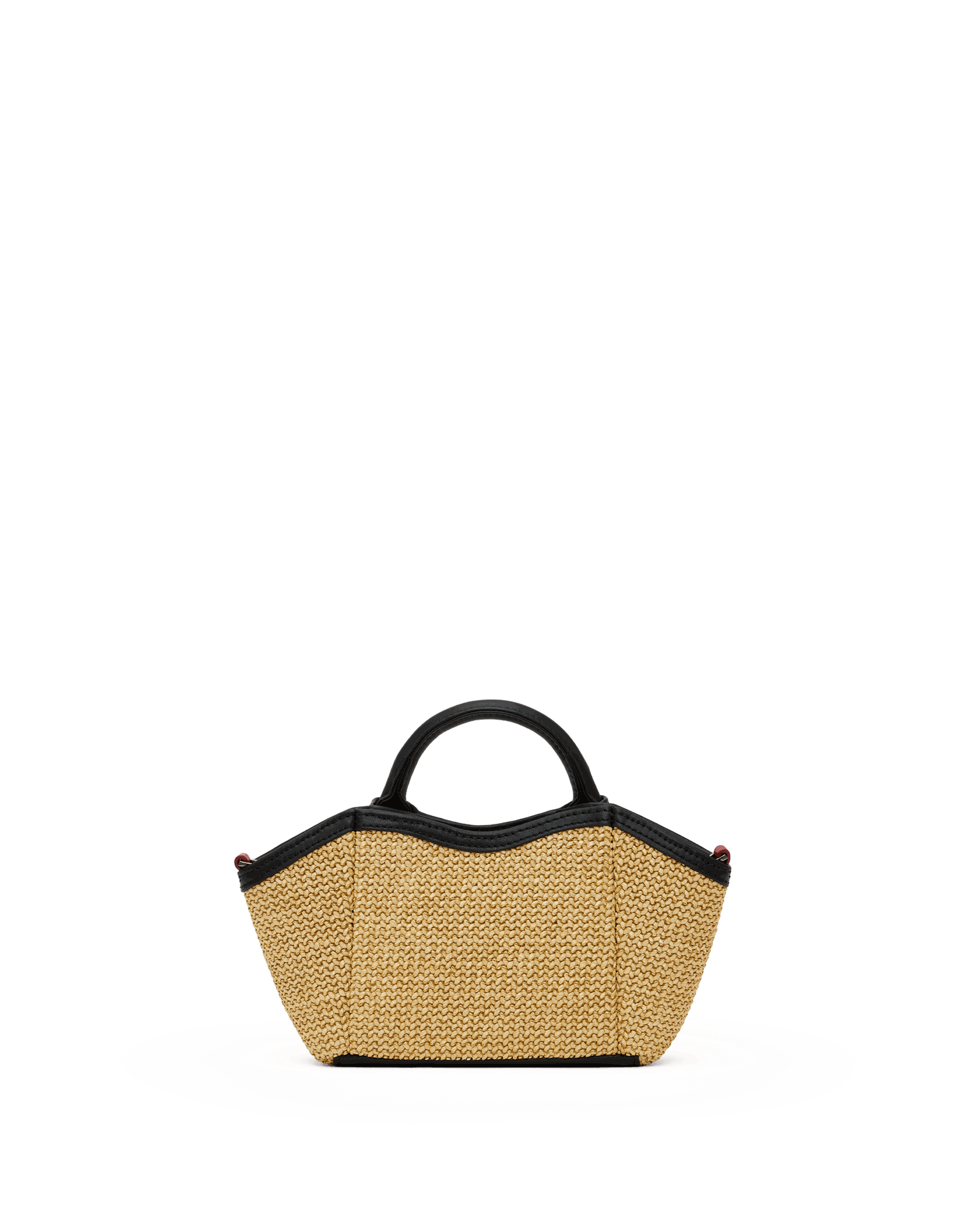 Paul-Mini-Noir-Smooth-Raffia-GM-Back-View
