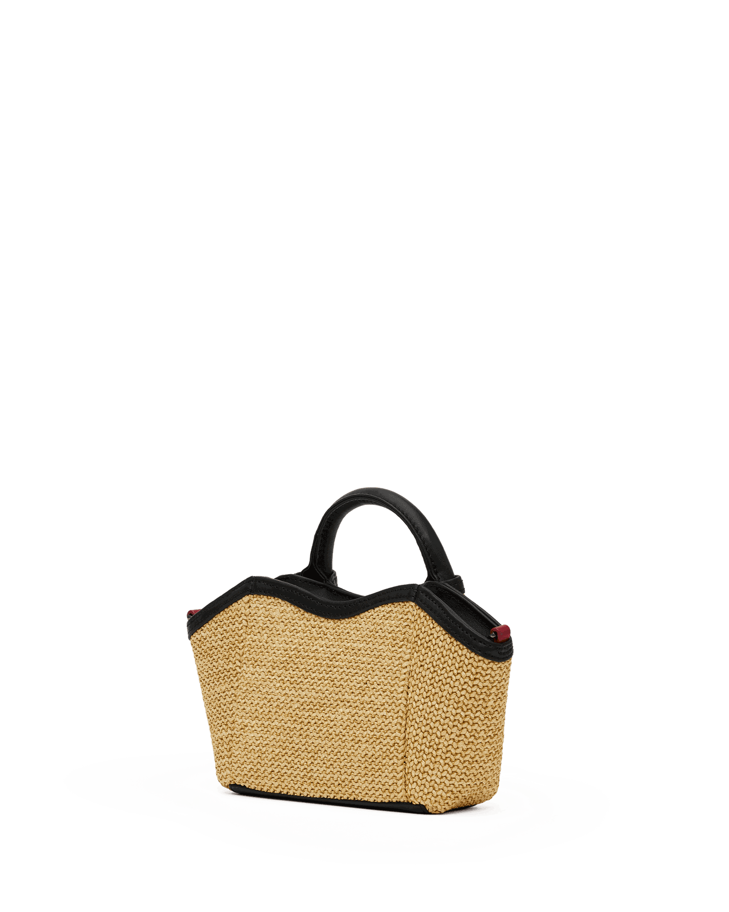 Paul-Mini-Noir-Smooth-Raffia-GM-Back-View-Detail