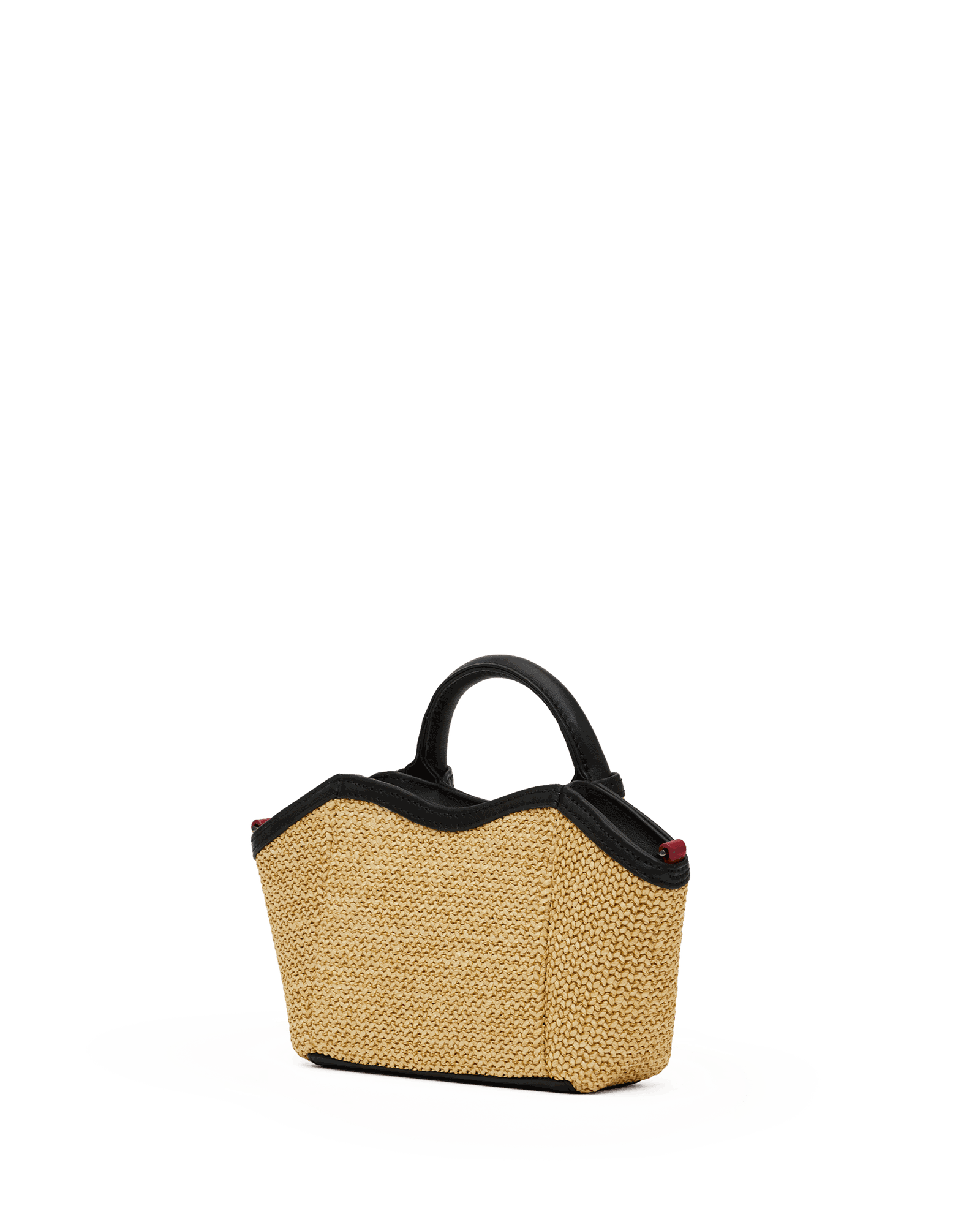 Paul-Mini-Noir-Smooth-Raffia-GM-Back-View-Detail