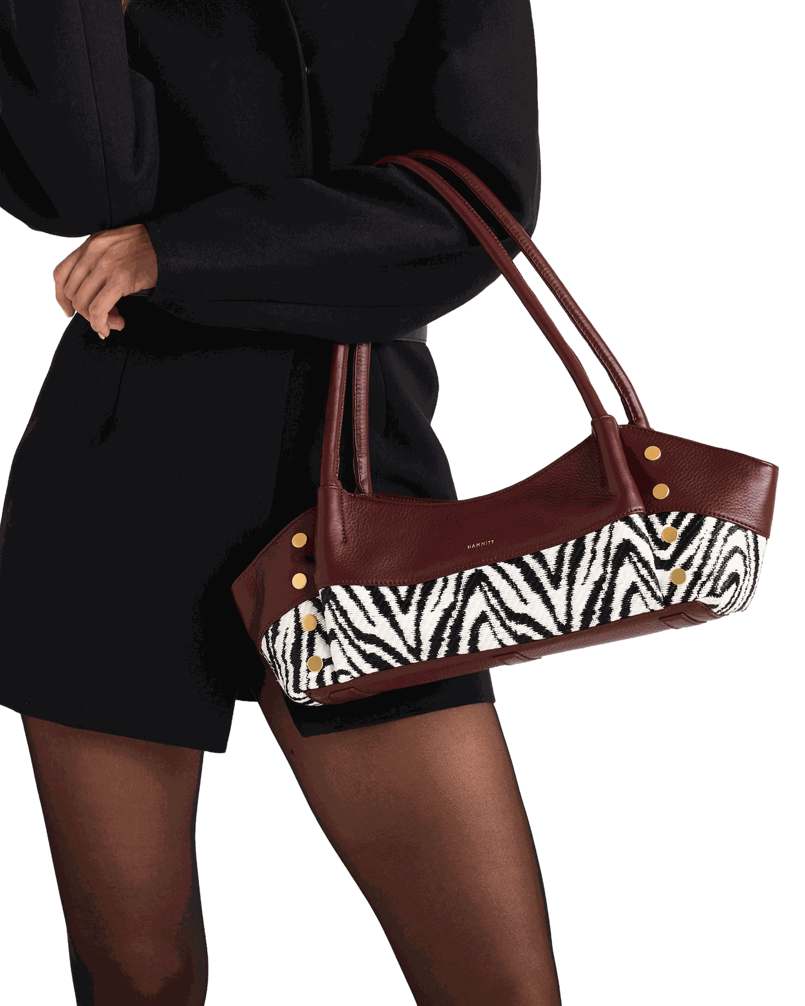 Paul-Short-Zebra-BG-Model-View