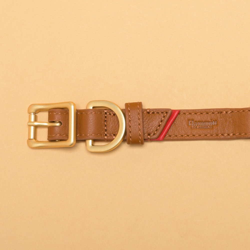 Cam-Lrg-Camel-Back-View