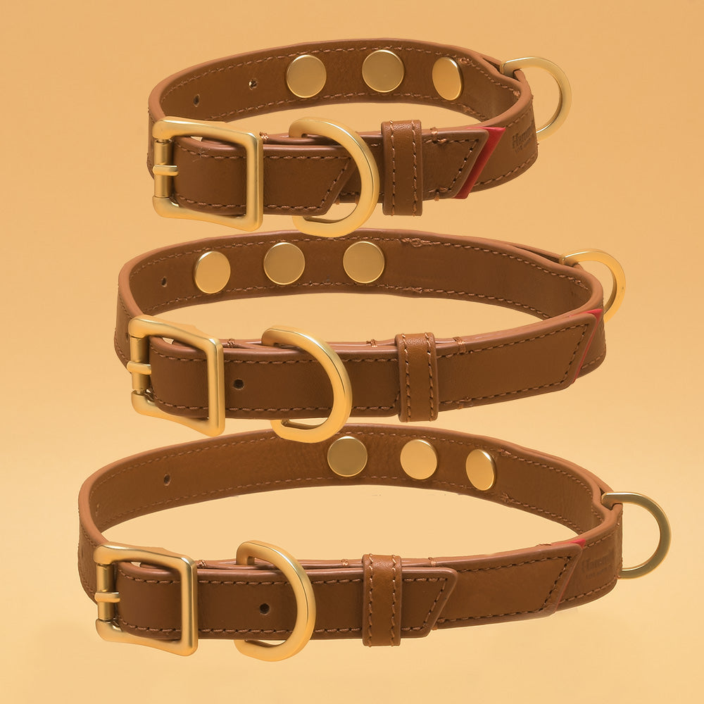 Cam-Lrg-Camel-Model-View