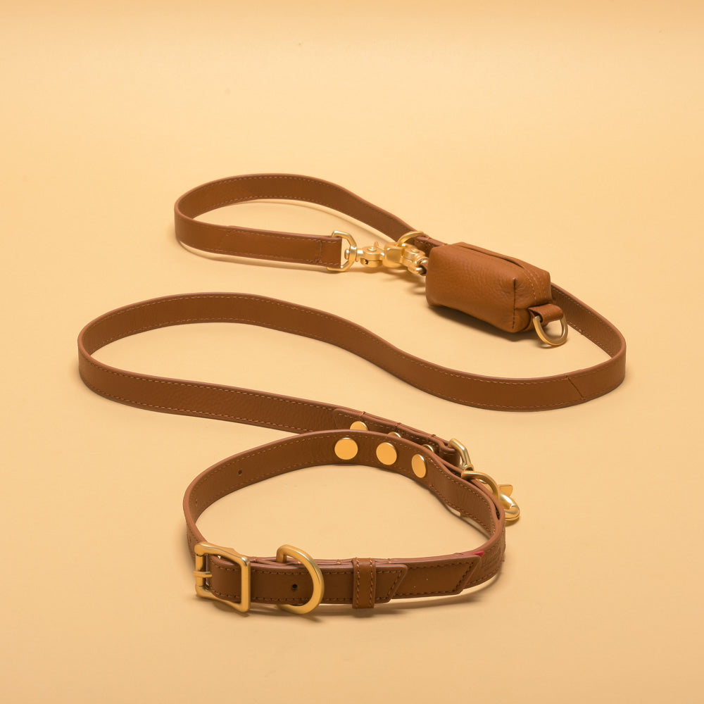 Winnie-Camel-Model-View
